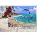 CHRISTMAS DREAMS Bahamas Dolphins